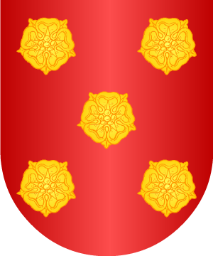 ESCUDO PRECEDENTE